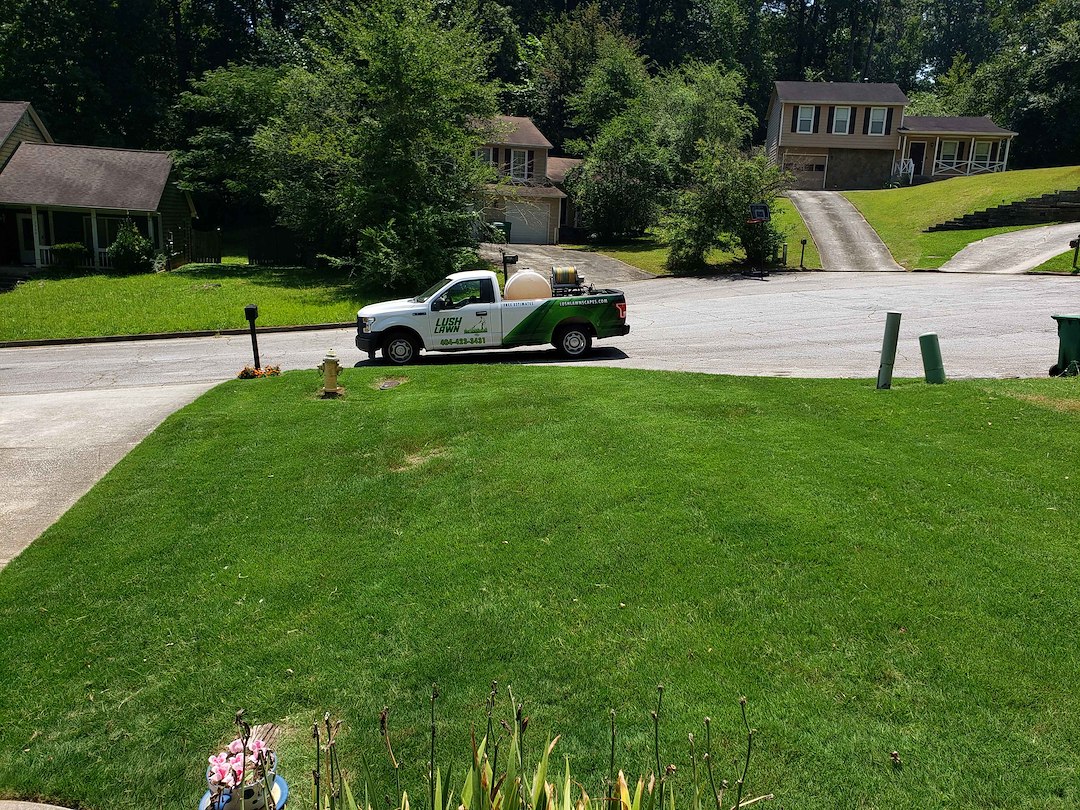 Top Quality before and after weed and fertilization transformation performed in Stone Crest, (formerly Lithonia) Georgia.